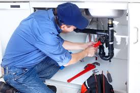  Langley, WA Plumbing Pros